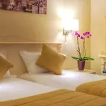 Louvre Sainte Anne 3* 巴黎